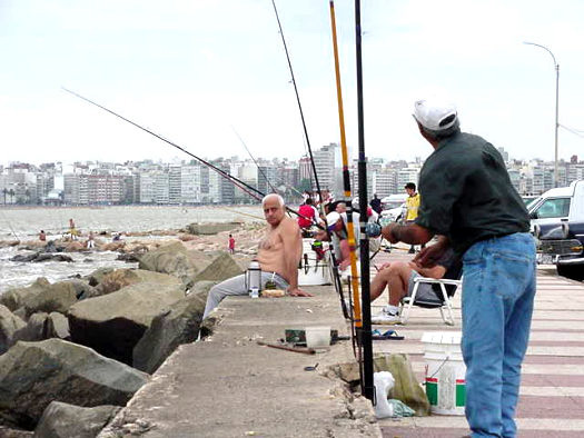 Un domingo en la rambla de Pocitos