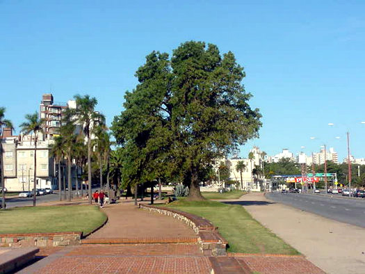 Rbla. Rep�blica Argentina y Eduardo Acevedo