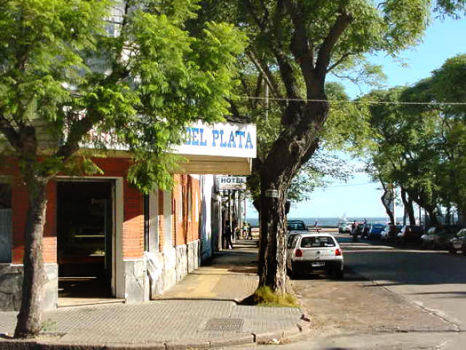 Calle R�o de la Plata entre Orinoco y Rambla O'Higgins