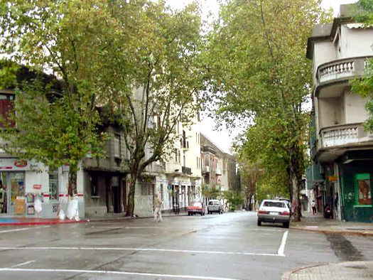 entre Julio Herrera y Obes y R�o Negro