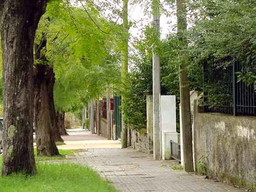 Pilcomayo entre Missouri y Estr�zulas