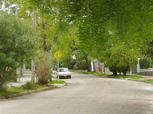 Pilcomayo entre Estr�zulas y Missouri