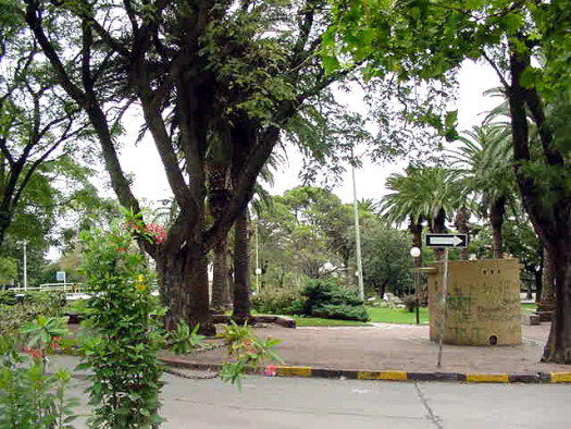 Plaza de los Ol�mpicos