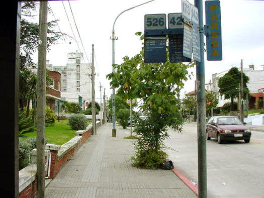 Rivera entre Atl�ntico y Santiago de Anca