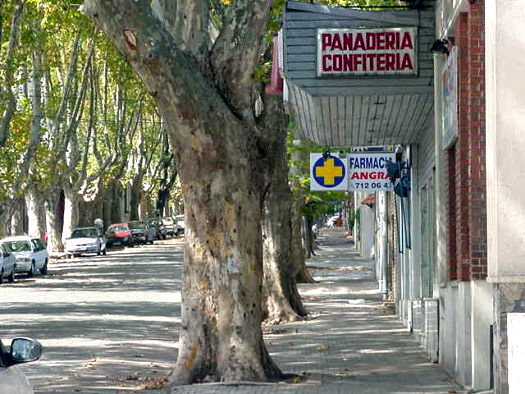 entre Montero y Su�rez