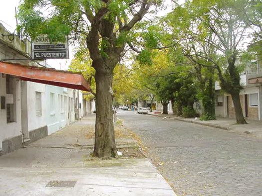 Cufr� entre Pedernal y Lafinur