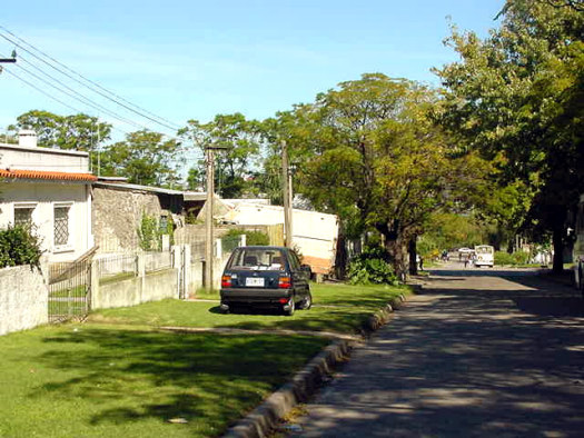 Dionisio Coronel entre Humboldt y E. Fern�ndez