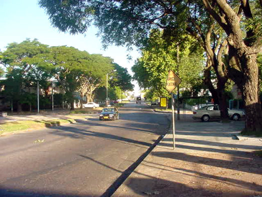 L.A. de Herrera (Larra�aga) entre Darwin y R. M�rquez