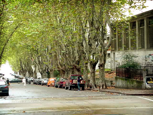 entre 26 de Marzo y Berro