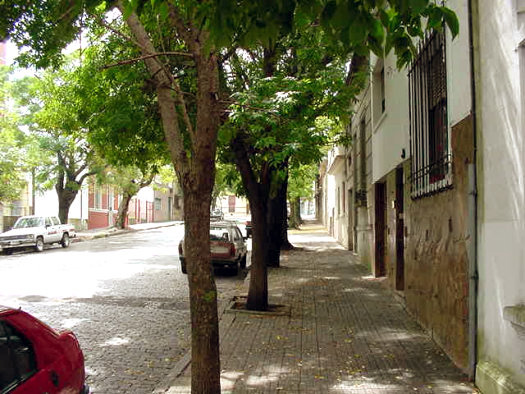 Marco Bruto entre Dem�stenes y L�ber Arce (Gral. Prin)