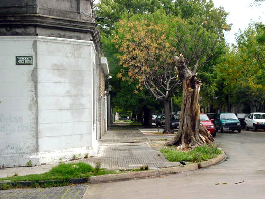 L�ber Arce (Gral. Prin) esquina Marco Bruto