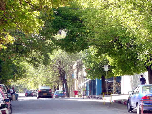 Cassinoni entre Rod� y Rivera