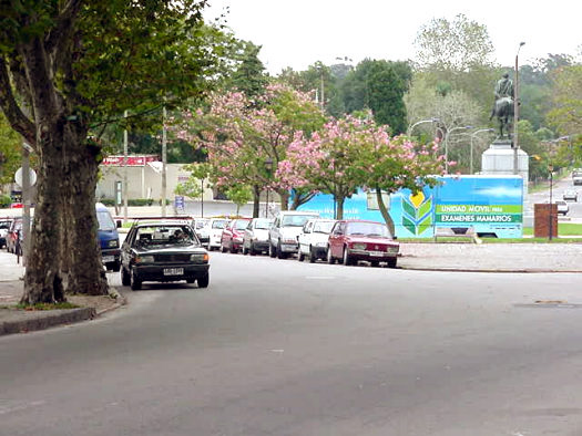 L.A. de Herrera casi Mill�n