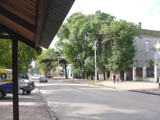 Av. S�arez entre Evaristo Ciganda y Grito de Asencio