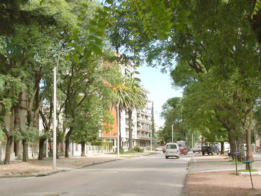 Av. S�arez entre Fiol de Pereda y Evaristo Ciganda