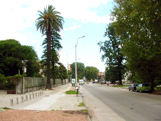 Av. S�arez entre Gral. E. Mart�nez y Grito de Asencio