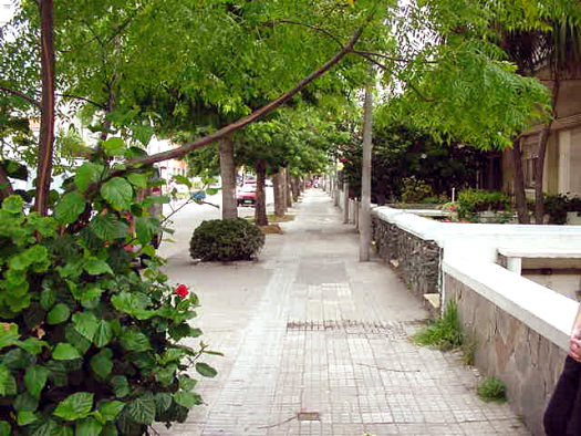 desde Pagola hacia Buxareo