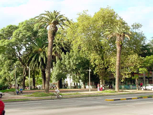 Blvr. Artigas esquina Garc�a Pe�a