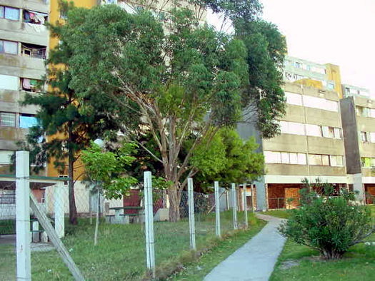 Euskal Err�a - Torre S