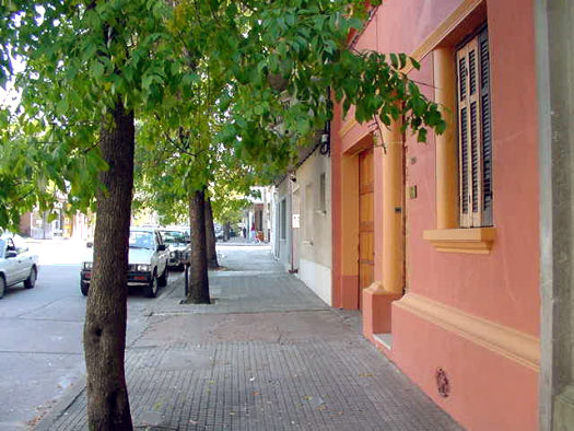 Hocquart entre Duvimioso Terra y Acevedo D�az