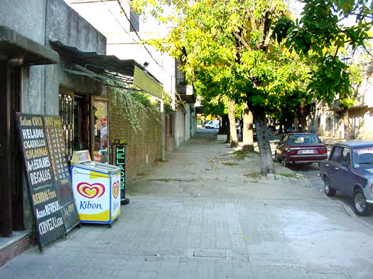 Enrique Mart�nez casi Blvr. Artigas