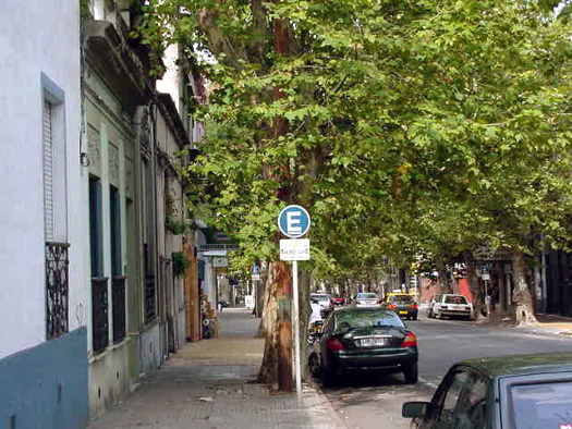 entre Convenci�n y R�o Branco