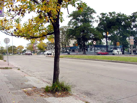 Blvr. Batlle y Ordo�ez (Propios) casi Monte Caseros