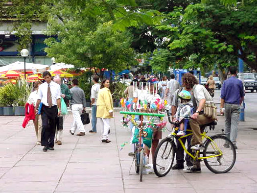 18 de Julio entre Julio Herrera y Obes y R�o Negro