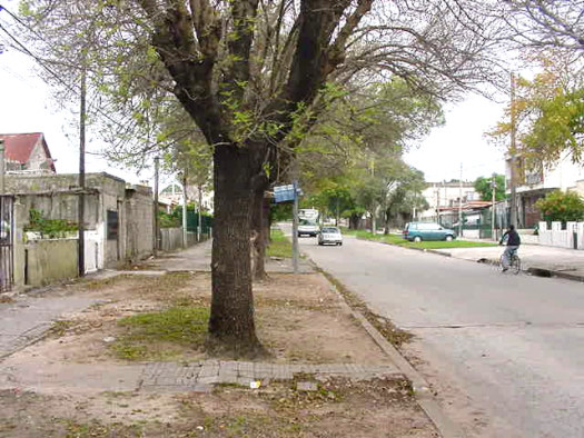 entre Tunez y Purificaci�n