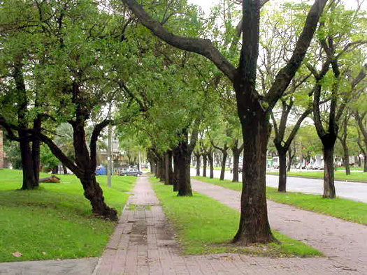 Damaso Larra�aga casi Espartillo