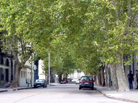 Tapes entre San Juan y Agraciada