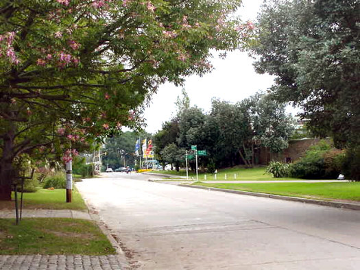 E. Blanco Acevedo (Santa M�nica) entre Roses y Av. Italia