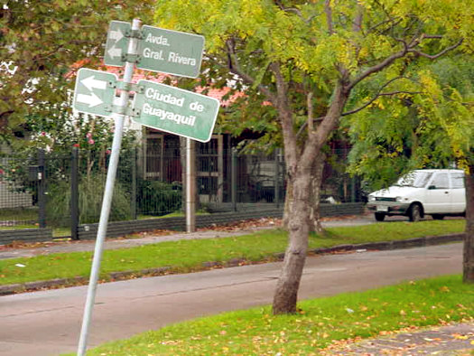 Rivera esquina Ciudad de Guayaquil (Yanguaneses)