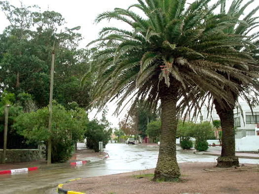 Gral. Paz esquina Mar Artico