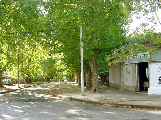 Daniel Zorrilla esquina Yut�